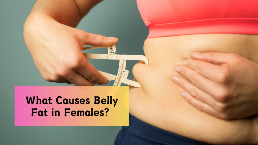 What Causes Belly Fat in Females?